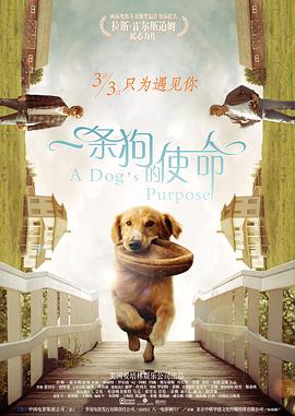 在线中文字幕网站